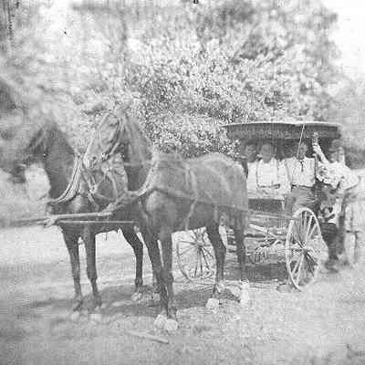 2 Horse team and Surrey