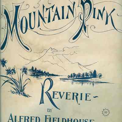 MOUNTAIN PINK, REVERIE