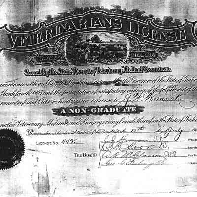 J.W. Womack Veterinary License