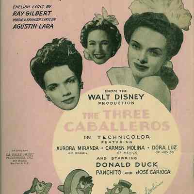 You Belong To My Heart (Solamnete Una Vez)