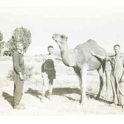 Three Men and a Camel