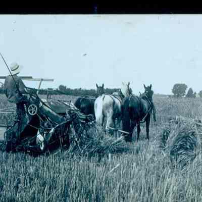 Horse-drawn Binder