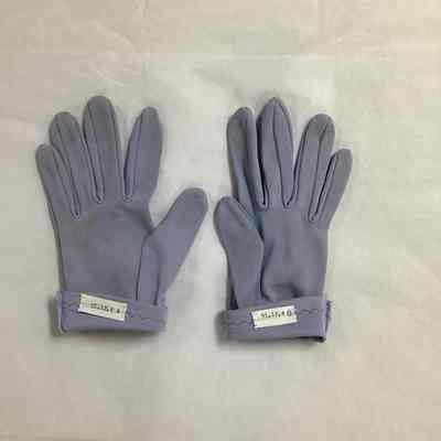 Women's Blue Gloves
