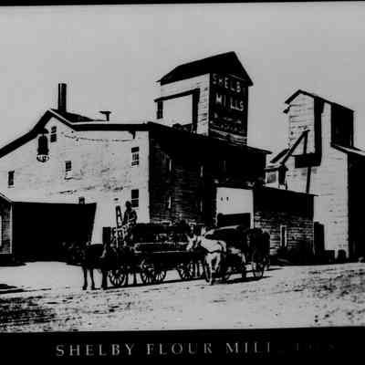 Shelby Flour Mills