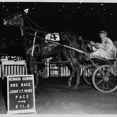 Real Gold By Guinea Gold, PET