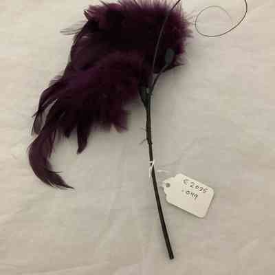 Feather as accessory