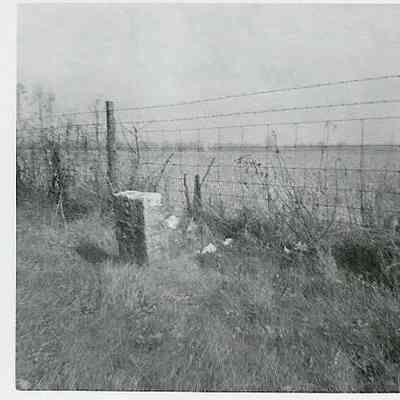  identifies as the 2,3,4, & 5