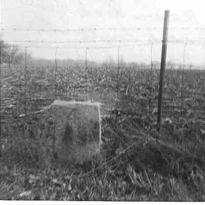  identifies as the 2,3,4, & 5