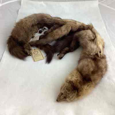 Women's Brown Russian Sable Fur Stole