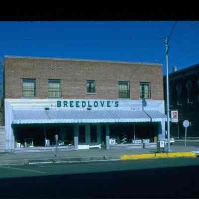 Breedlove's