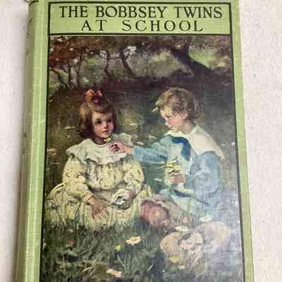 The Bobbsey Twins at School
