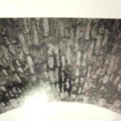 Bridge No. 149, Photo Image 8