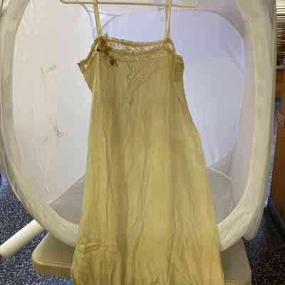 Slip with rose & green leaf lace: 2001.020.001 E