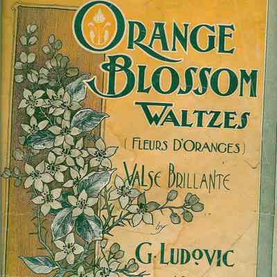 ORANGE BLOSSOM WALTZES (FLEURS D'ORANES), VALSE BRILLANTE