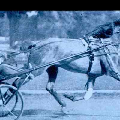 Shelby County Fairground