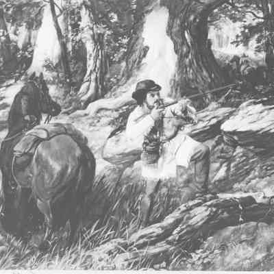 Pioneer Reference Material