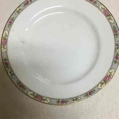 White Floral Trim Decorative Plates