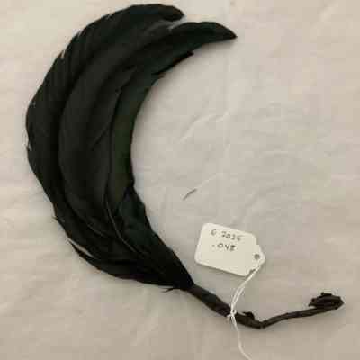 Feather as accessory