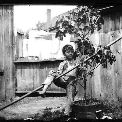 Negative, Glass-plate