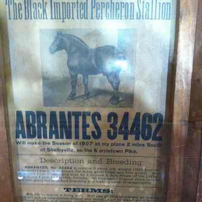 framed newspaper article