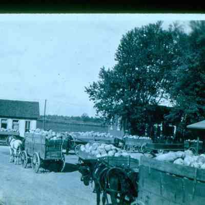 Boggstown Grain and Supply Company