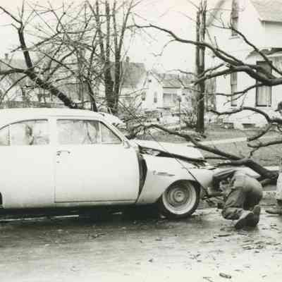 Auto Hit by Tree Limb 1984.008.019