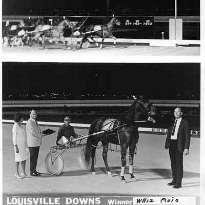 Whiz Avio Louisville Downs