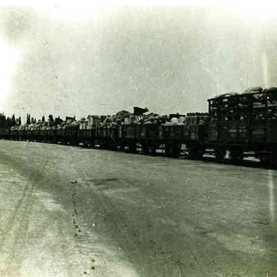 Train Hauling Supplies