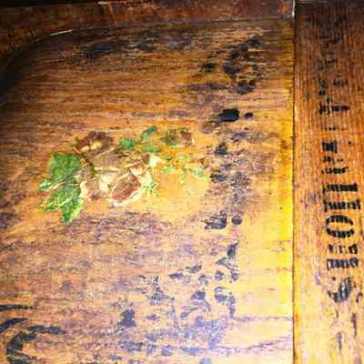 Bentwood Butter Churn