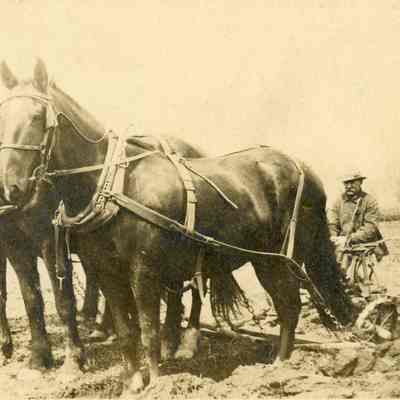 Unidentified Man Riding Horse-Driven Plow
