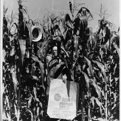 Ruhm's Phosphate/Murphy, J. T.