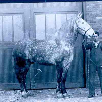 Ogden, George, Livery