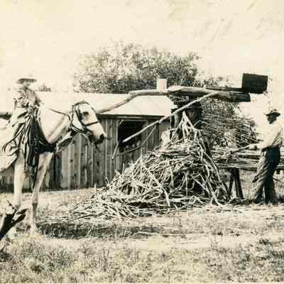 Dorothy & Henry Wasson