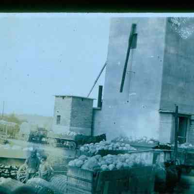 Boggstown Grain and Supply Company