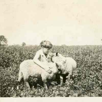 Dorothy Wasson w/ Sheep