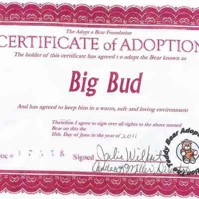 Certificate of Adoption