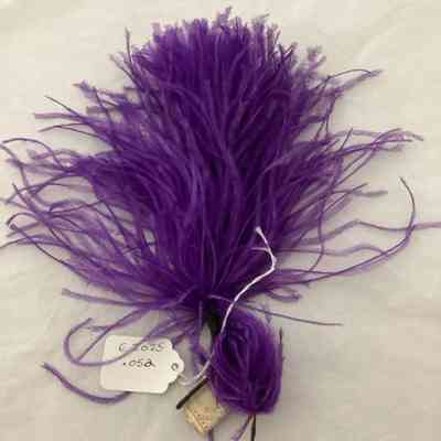 Feather as accessory