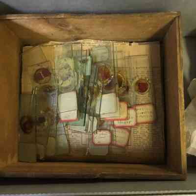 Box, wooden with medical slides