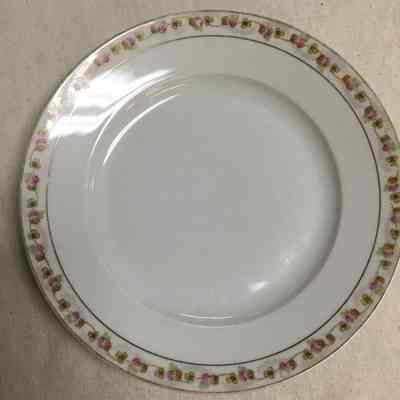 White Floral Trim Dinner Plates