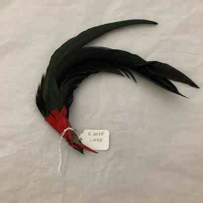 Feather as accessory