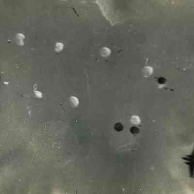 Mass Parachute Drop from Two Planes