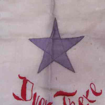 flag-detail