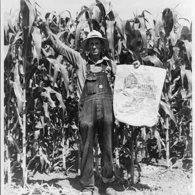 Rhum's Phosphate/Murphy, J. T.