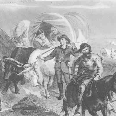 Pioneer Reference Material