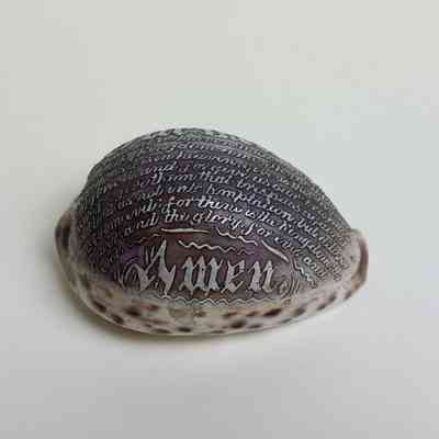 Engraved Marine Shell