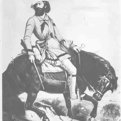 Pioneer Reference Material