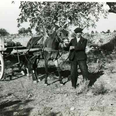 Unknown Man and Horse Cart