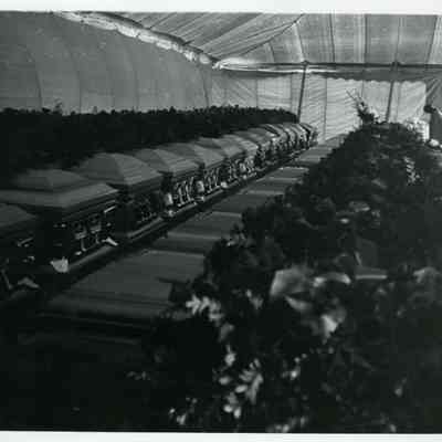 Alleghany Plane Crash