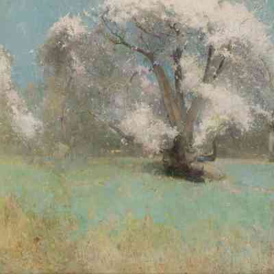 Blossoming Trees