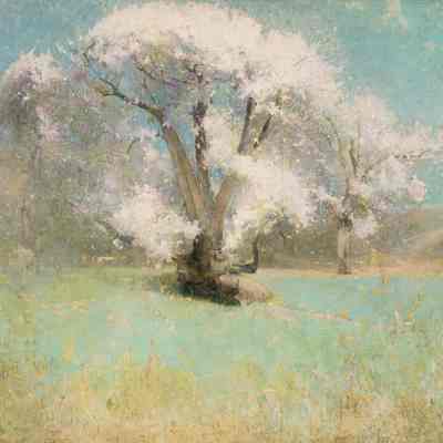 Blossoming Trees